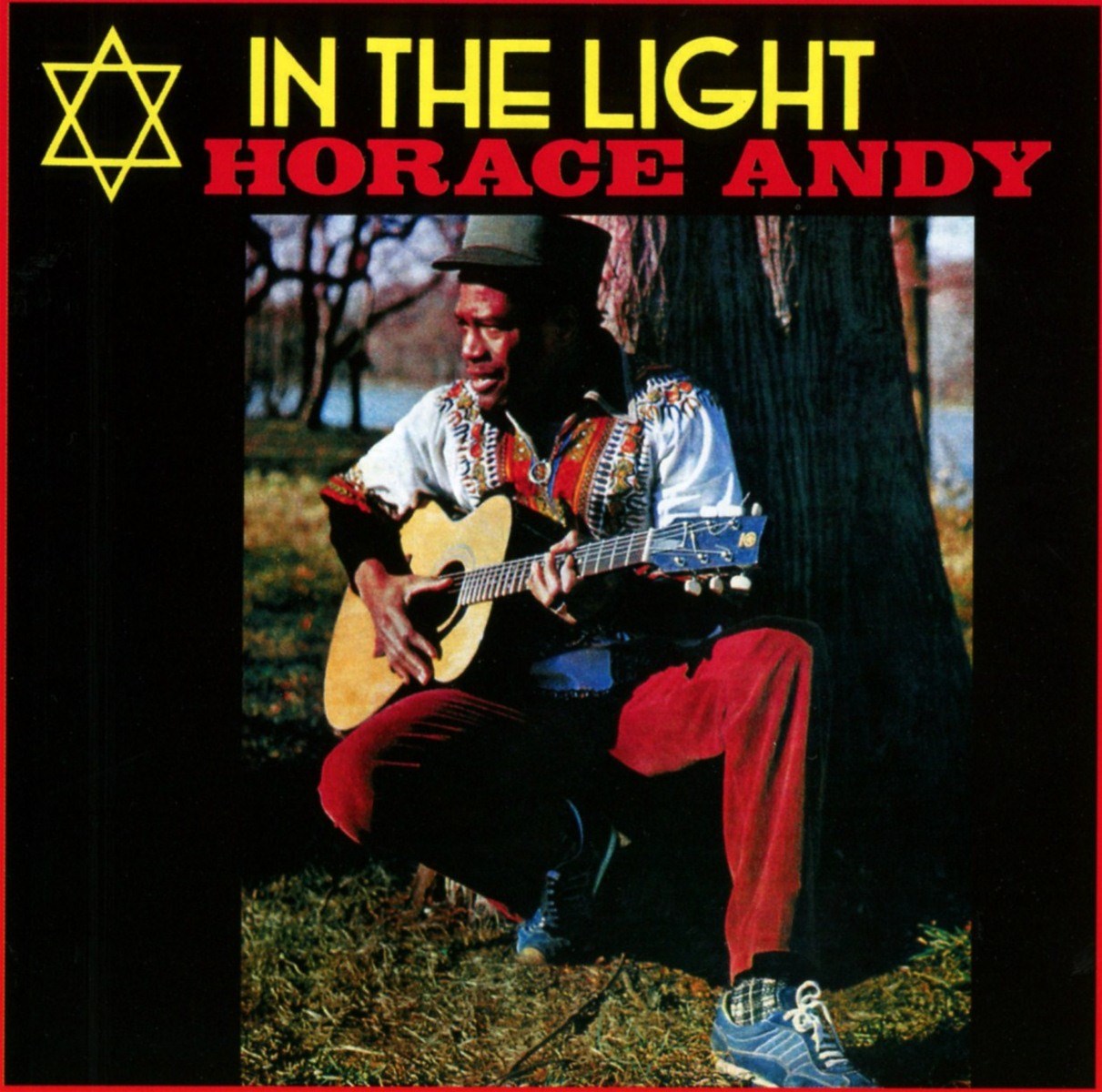 Afbeelding van Horace Andy - In The Light