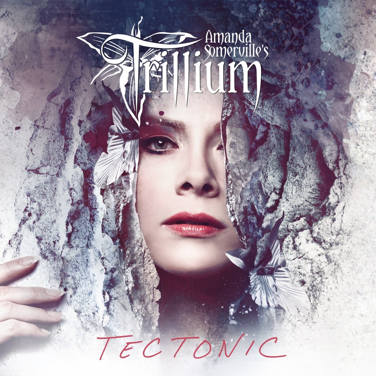 Amanda Somervilles Trillium - Tectonic