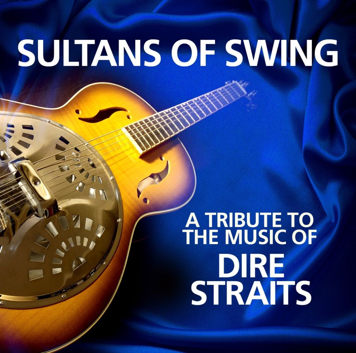 Afbeelding van Sultans Of Swing - A Tribute To The Music Of Dire Straits