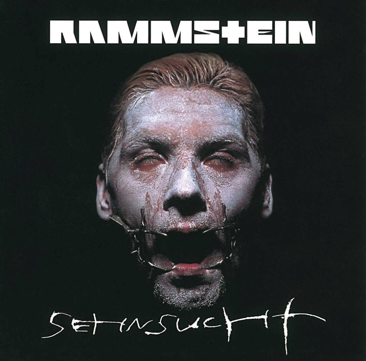 Afbeelding van Rammstein - Sehnsucht