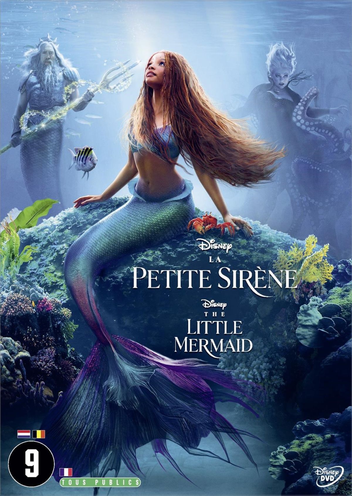 Afbeelding van The Little Mermaid