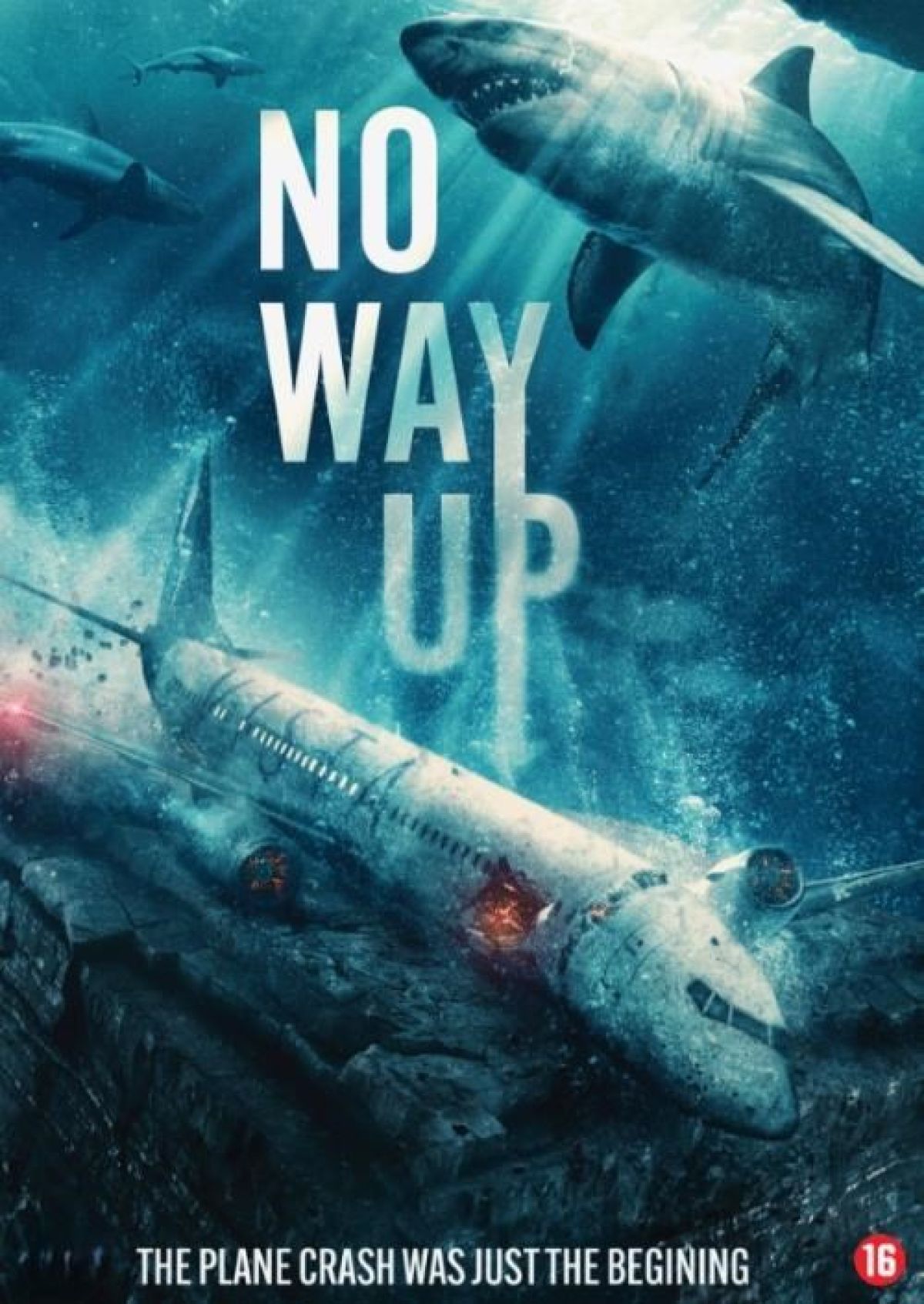 Afbeelding van No Way Up