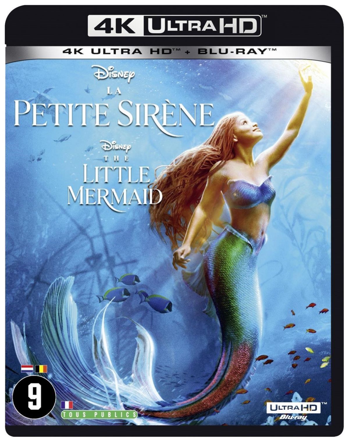 Afbeelding van The Little Mermaid