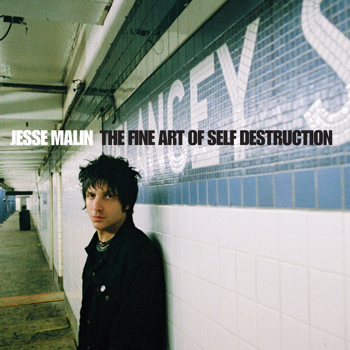 Afbeelding van Jesse Malin - The Fine Art Of Self Destruction
