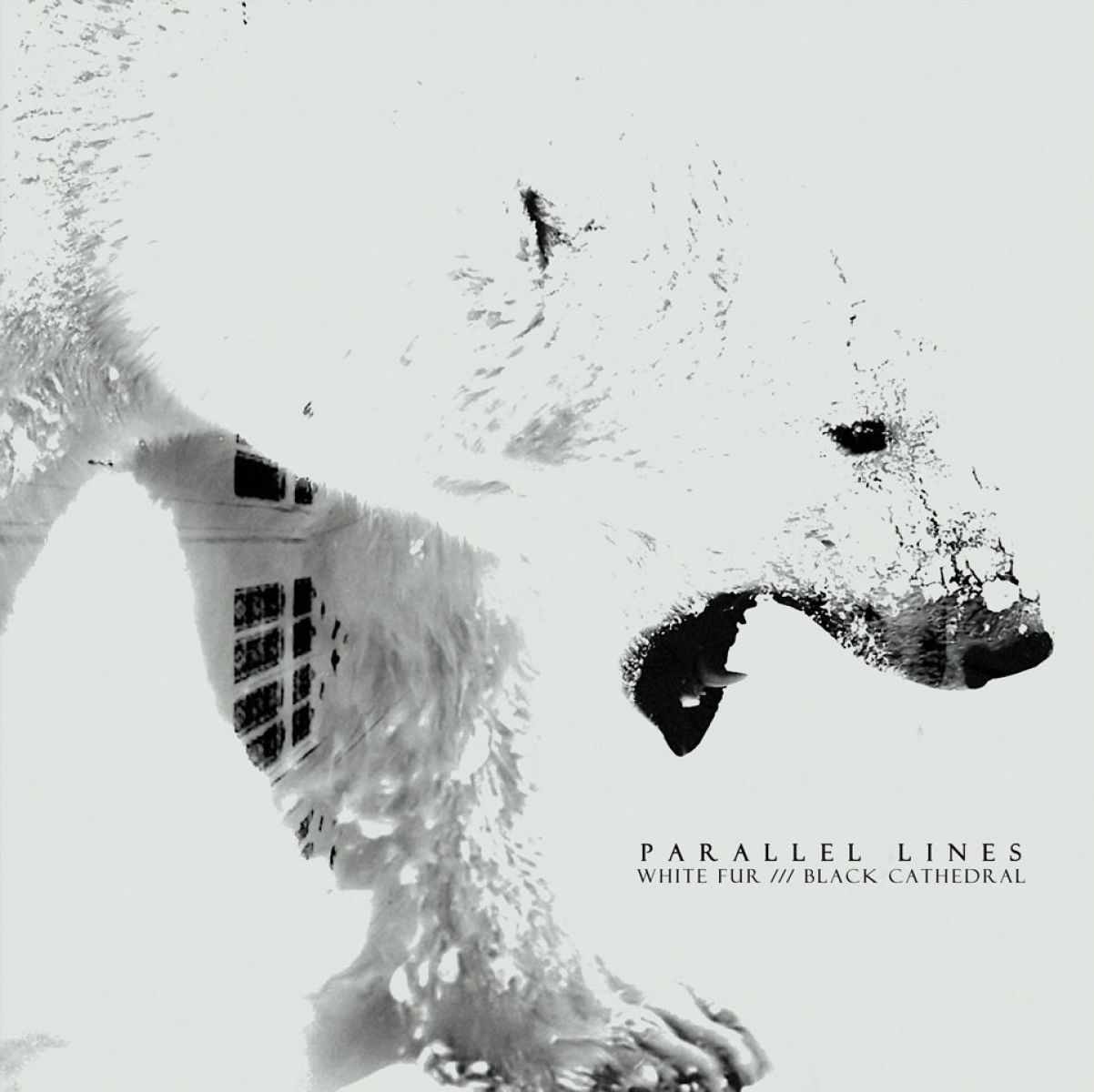 Afbeelding van Parallel Lines - White Fur /// Black Cathedral