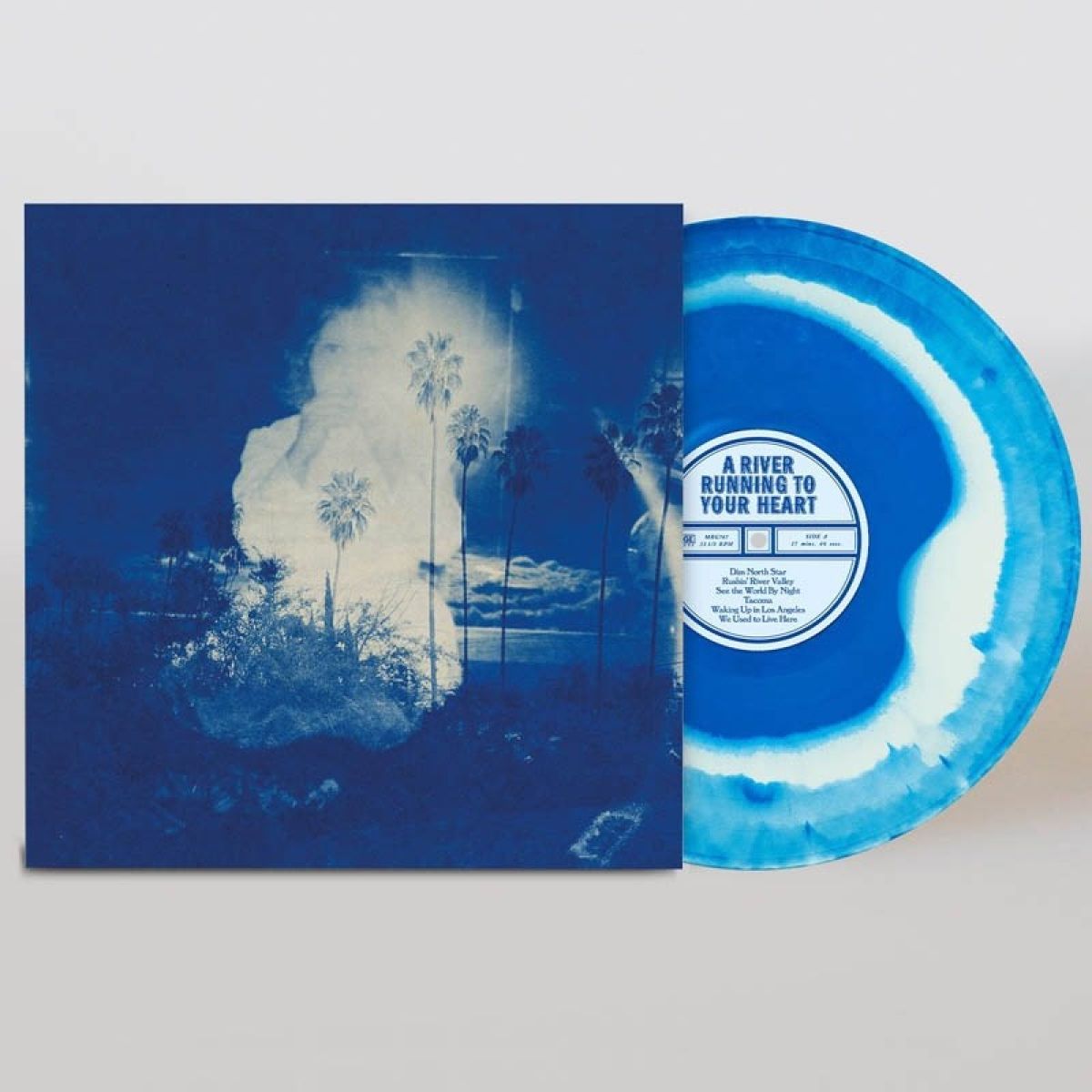 Afbeelding van Fruit Bats - A River Running To Your Heart