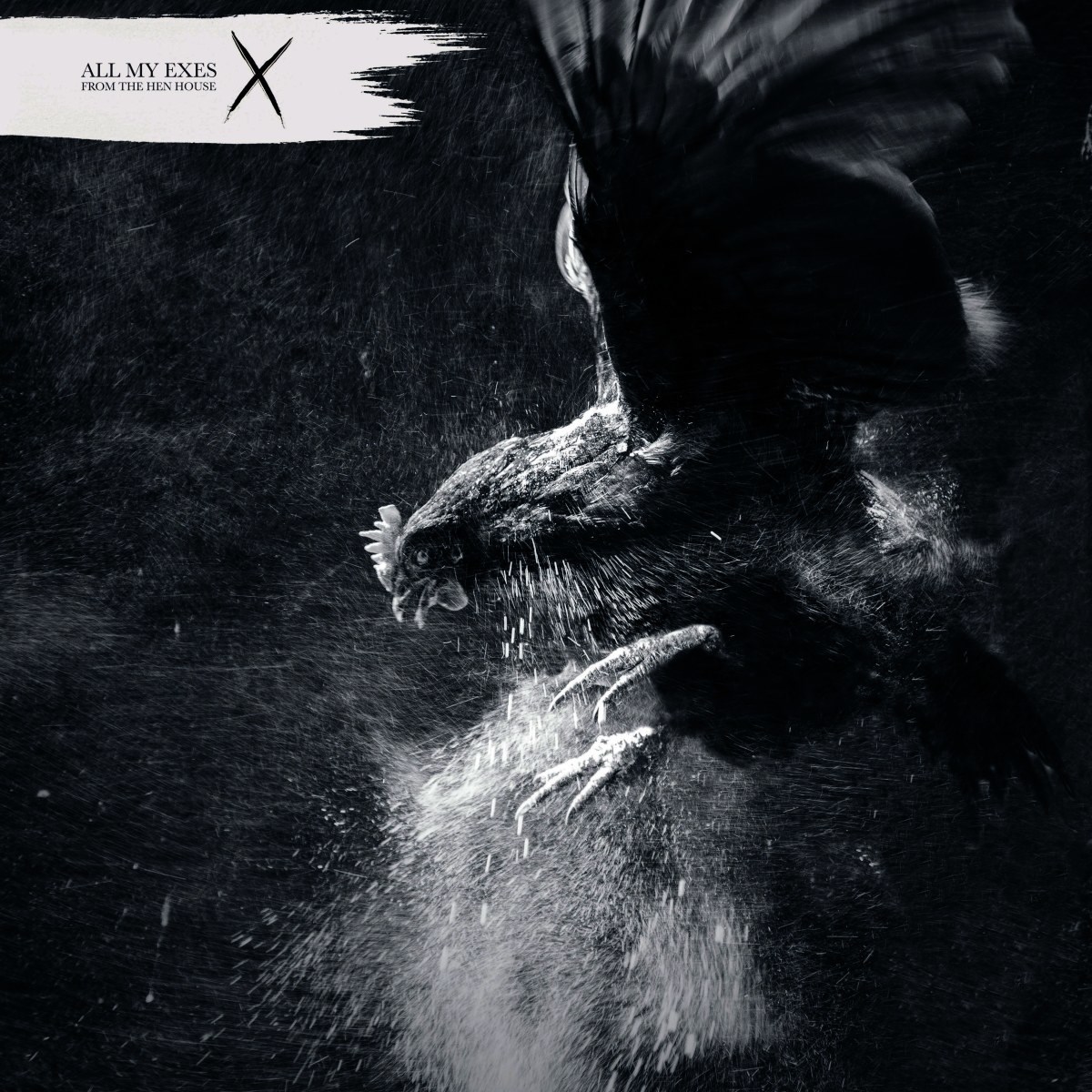 Afbeelding van All My Eyes - From The Hen House