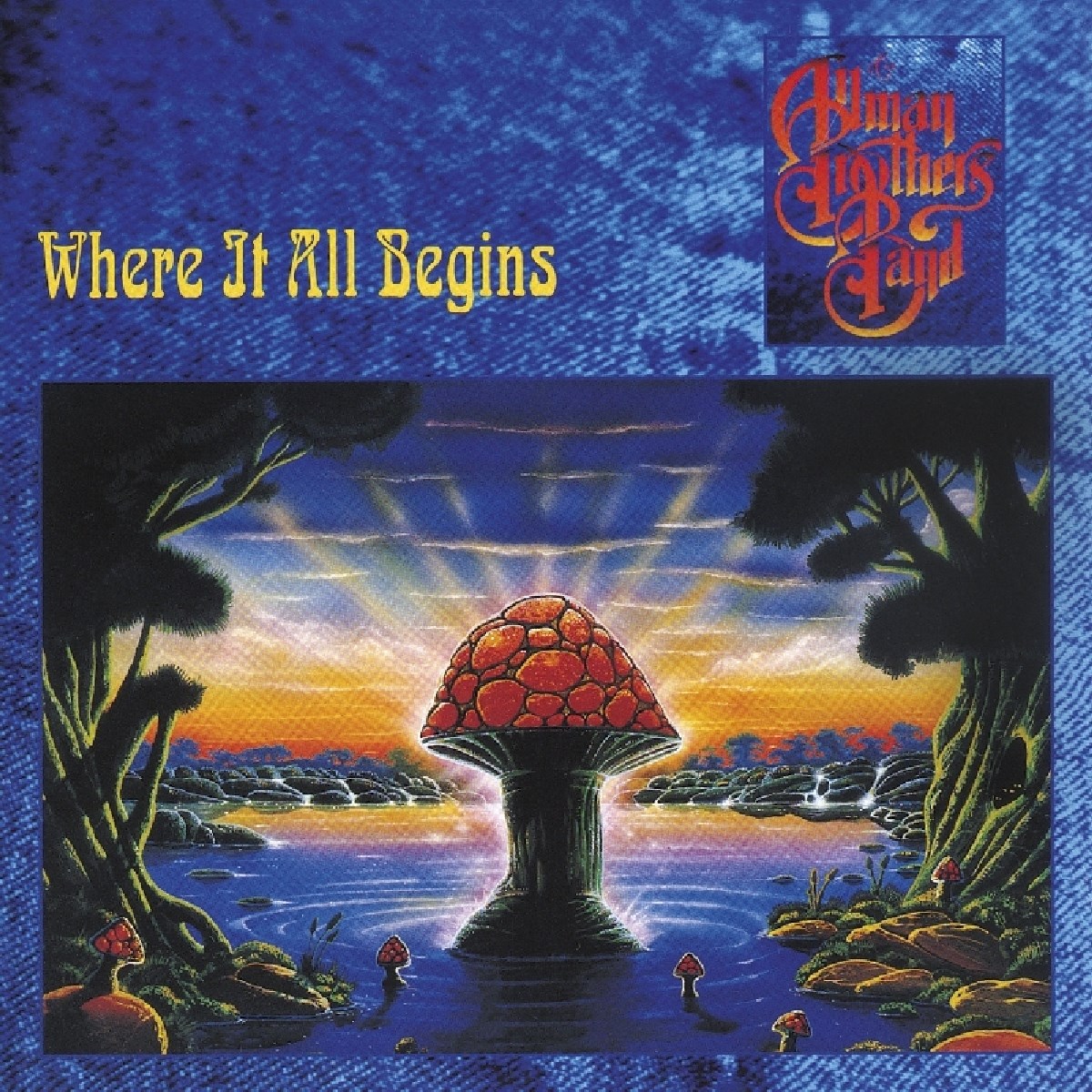 Afbeelding van The Allman Brothers Band - Where It All Begins