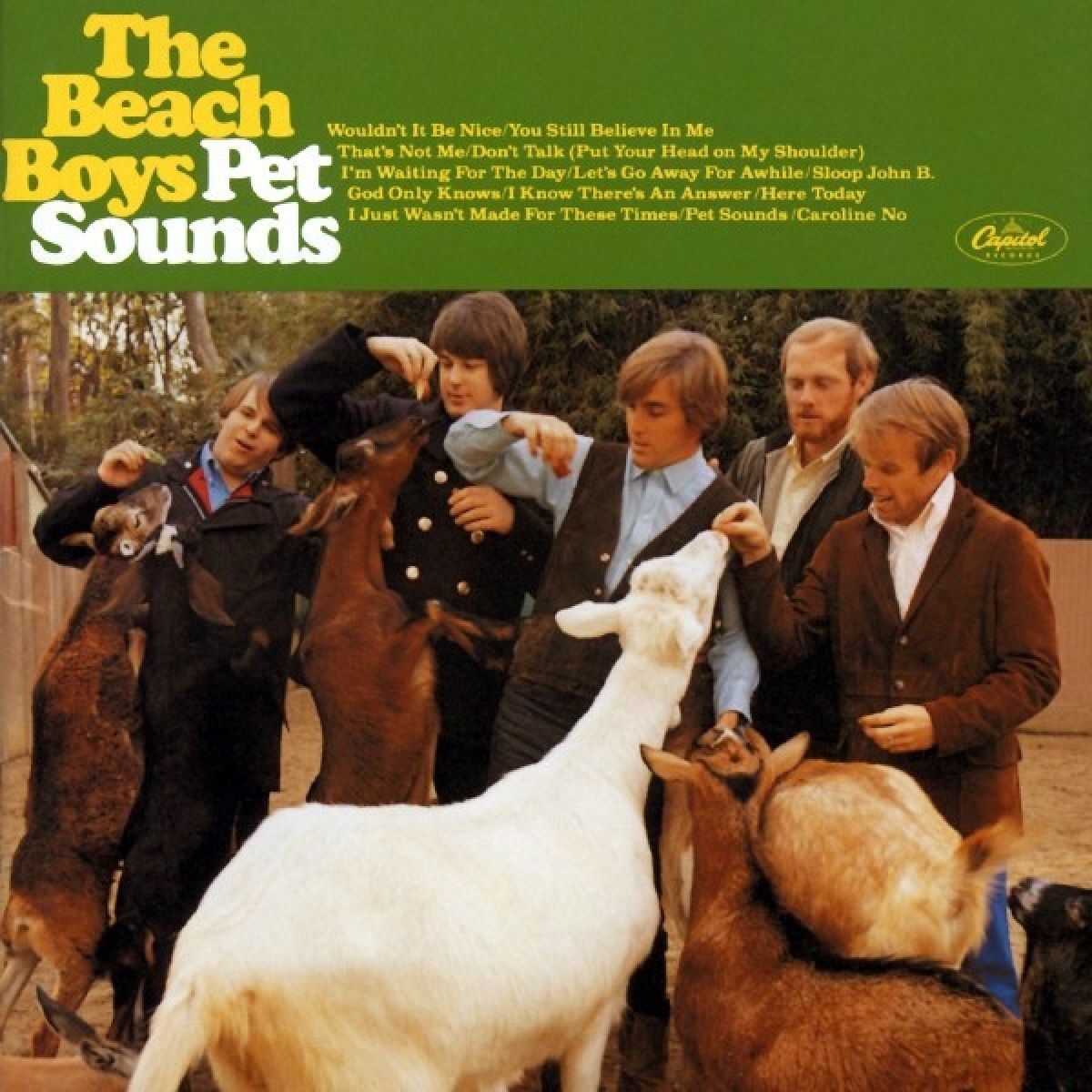 Afbeelding van Pet Sounds