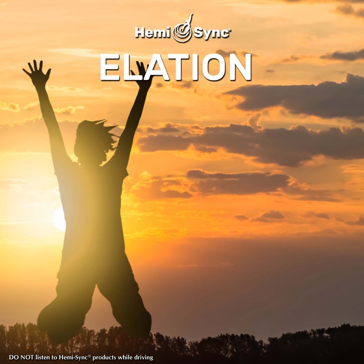 Michael Maricle - Elation