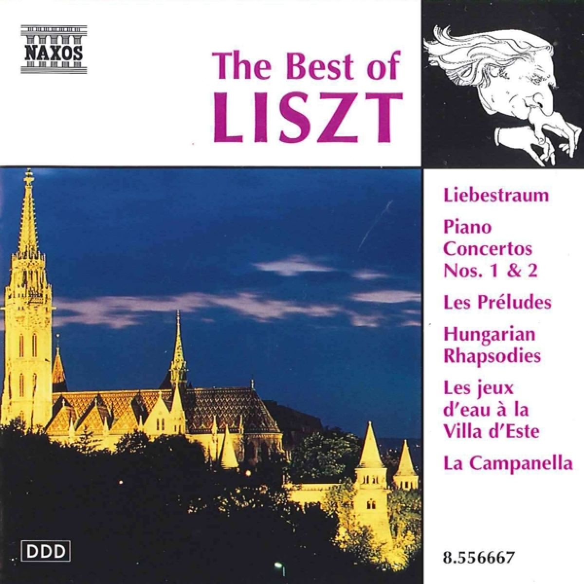 Afbeelding van Various Artists - Best Of Liszt