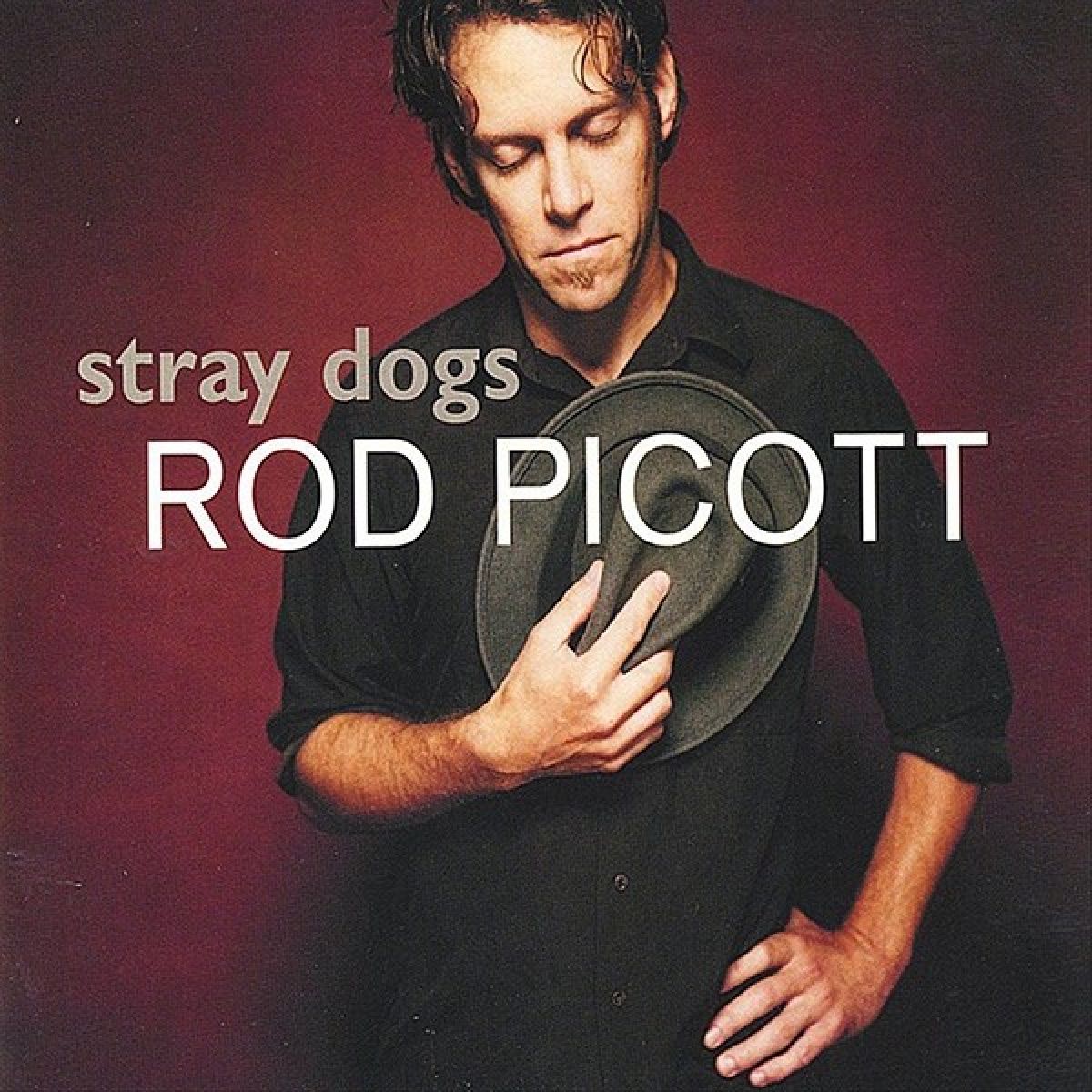 Rod Picott - Stray Dogs