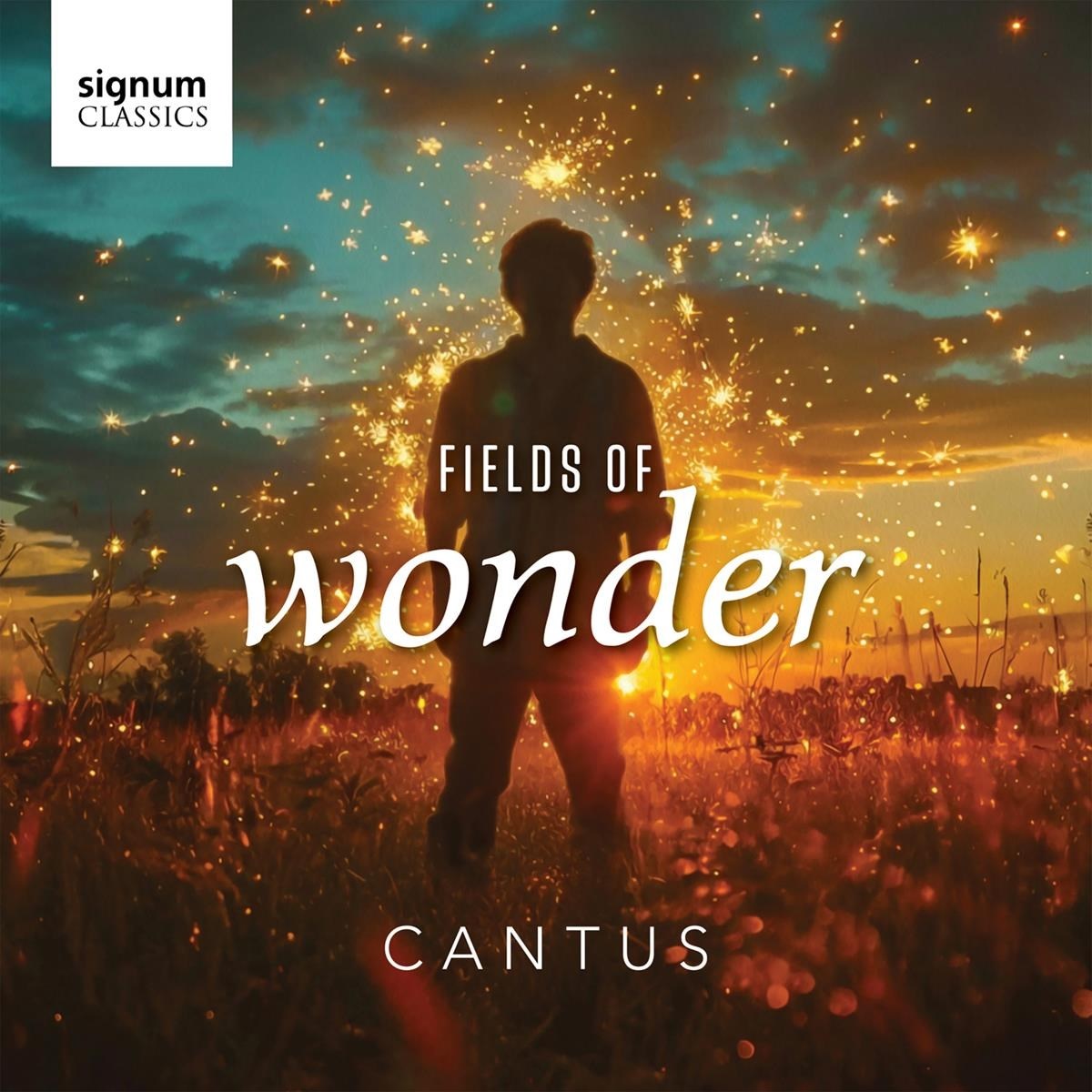 Afbeelding van Fields Of Wonder