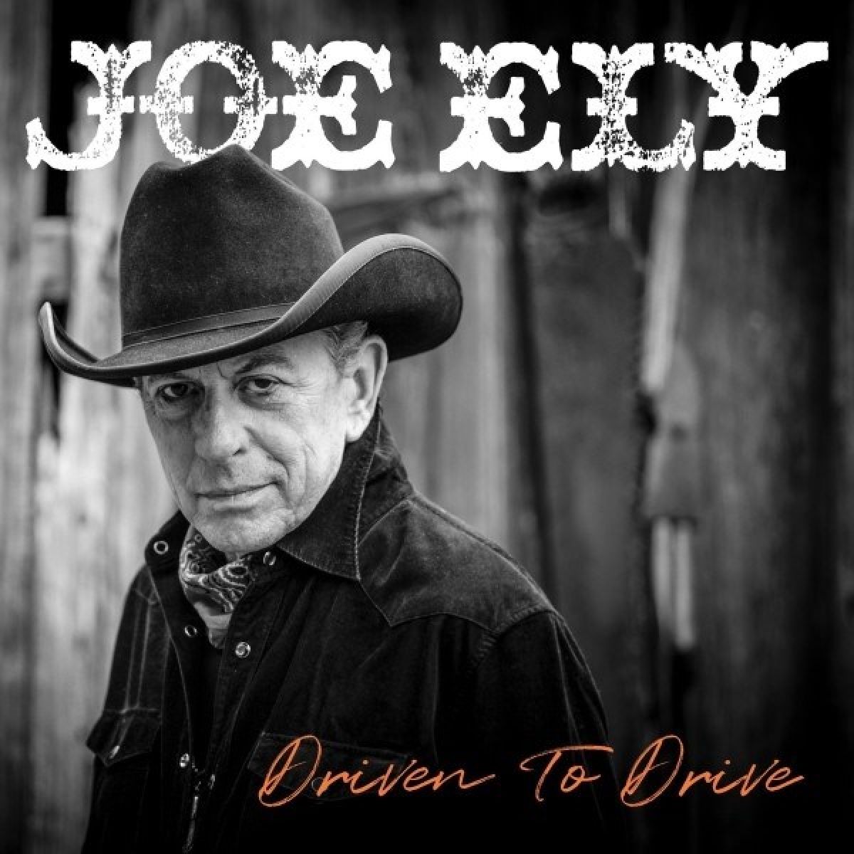 Joe Ely - Driven To Drive
