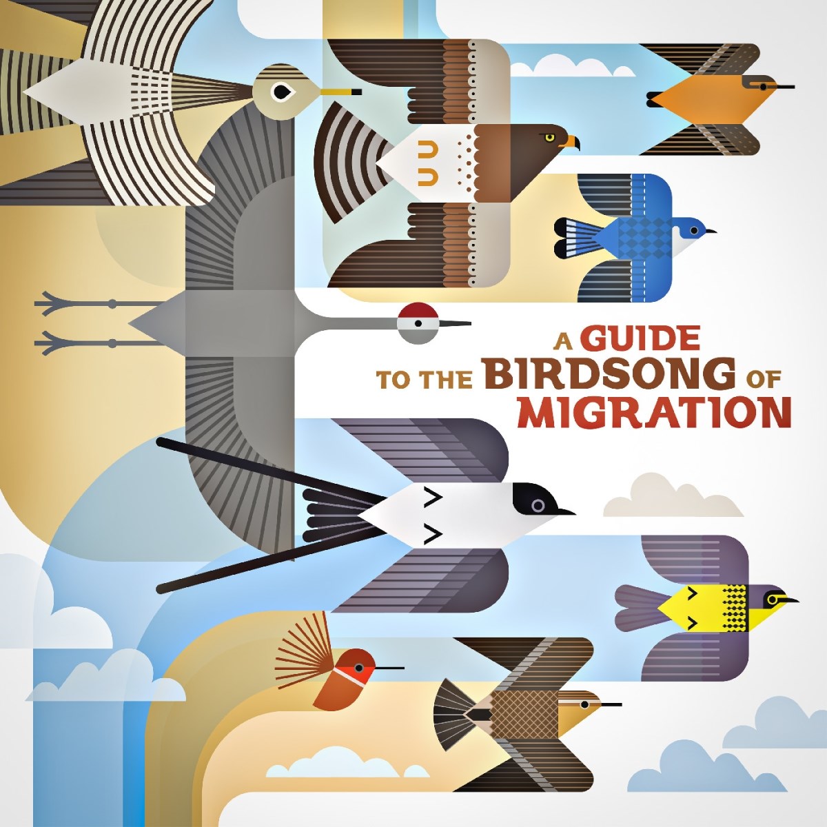 Afbeelding van Various Artists - A Guide To The Birdsong Of Migration