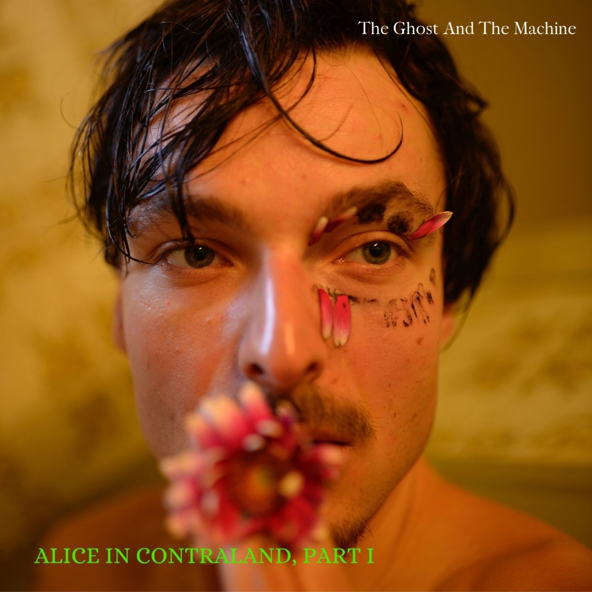 Afbeelding van The Ghost And The Machine - Alice In Contraland Part 1