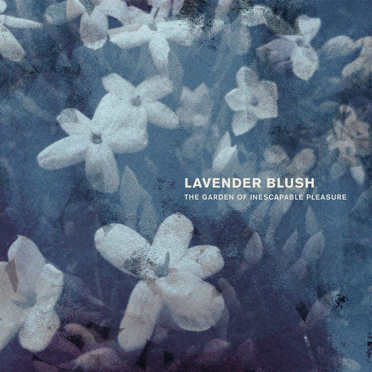 Afbeelding van Lavender Blush - The Garden Of Inescapable Pleasure