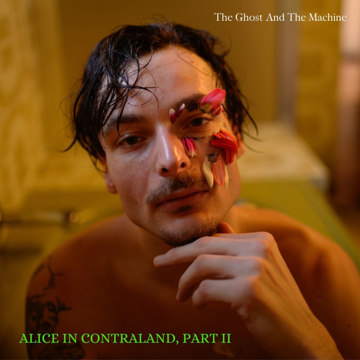 Afbeelding van The Ghost And The Machine - Alice In Contraland Part 2