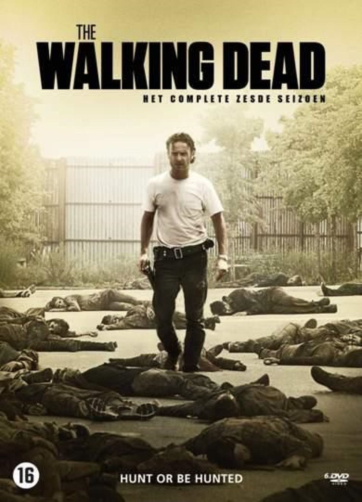 Afbeelding van The walking dead - Seizoen 6