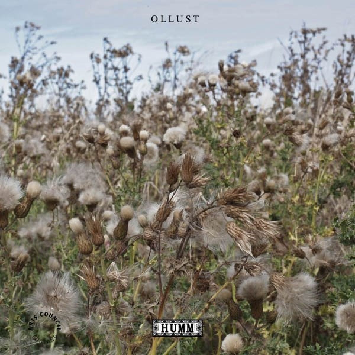 Broads & Milly Hirst - Ollust