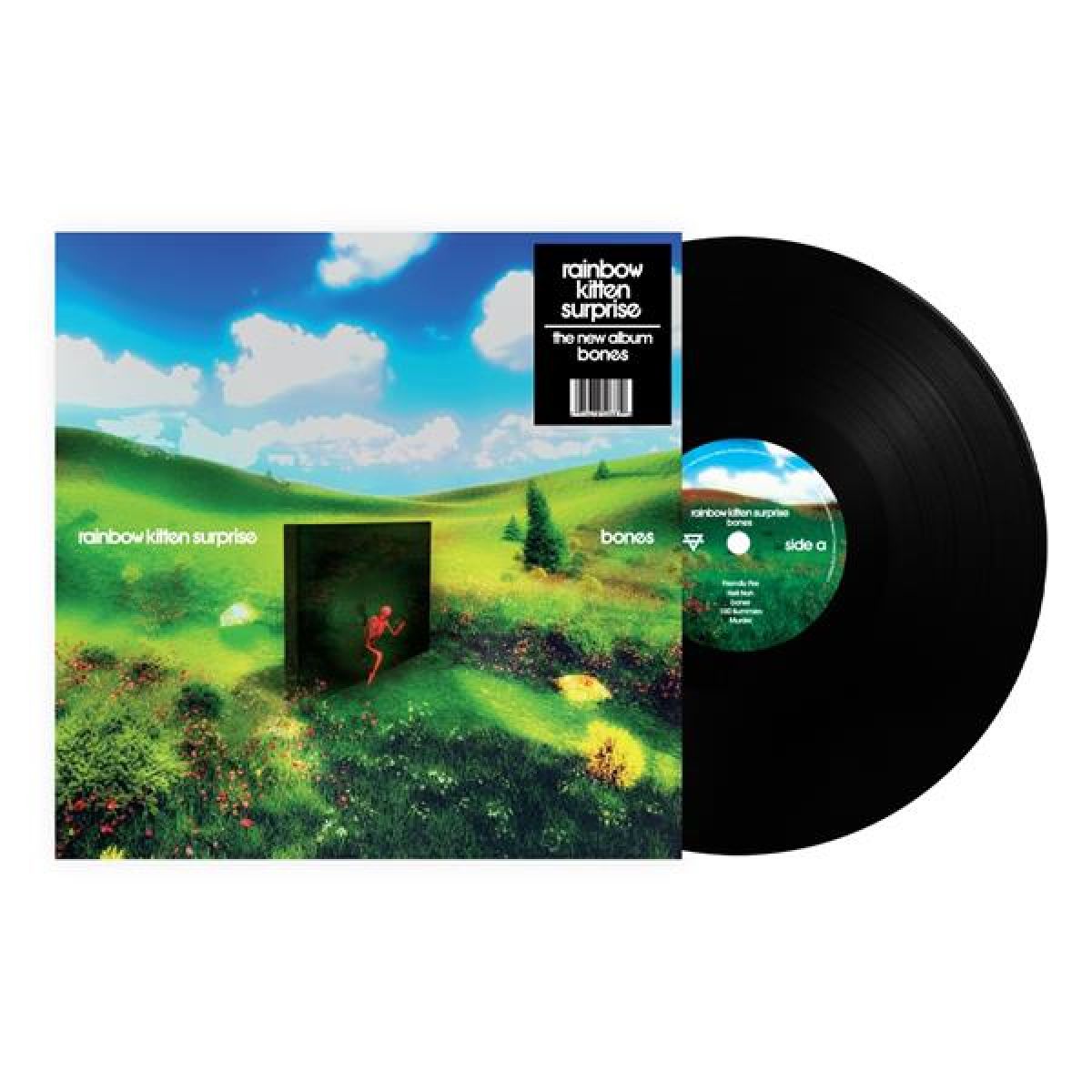 Afbeelding van Rainbow Kitten Surprise - Bones