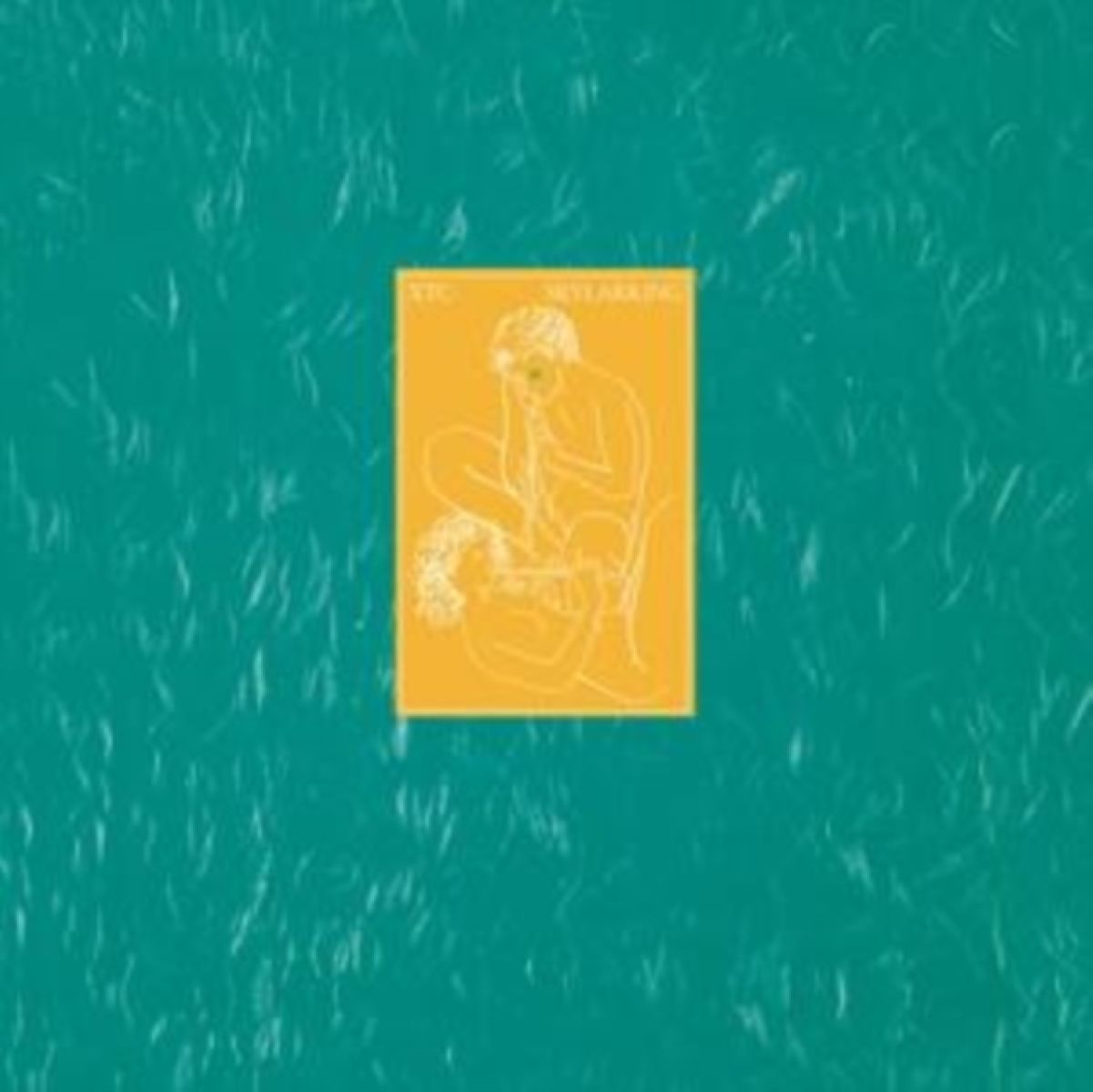 Afbeelding van XTC - Skylarking (2016 Steven Wilson Mix)