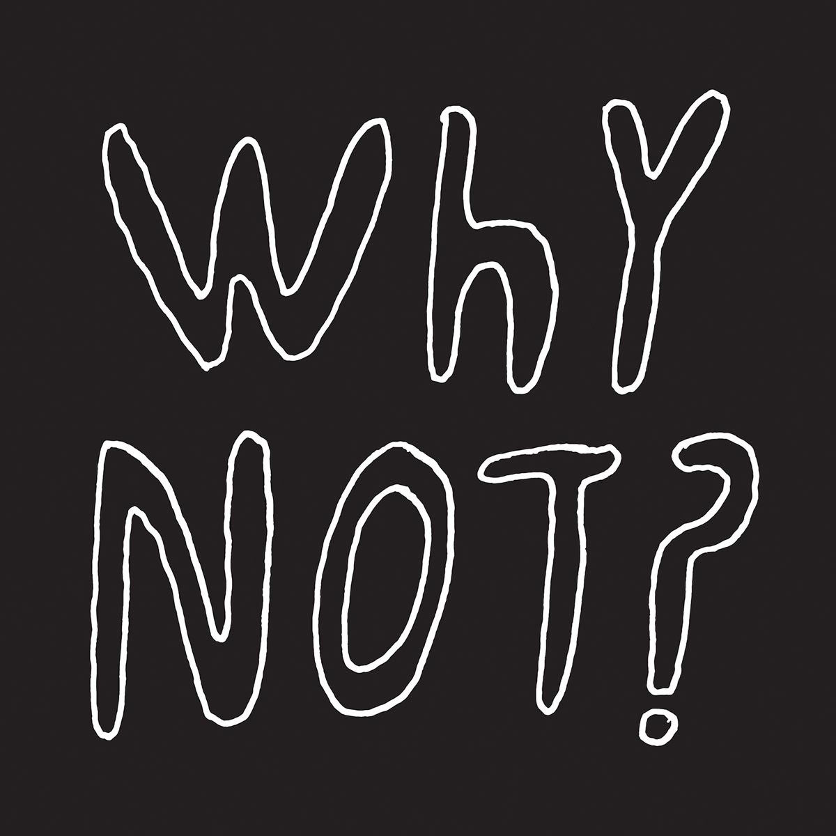 Afbeelding van Why Not?