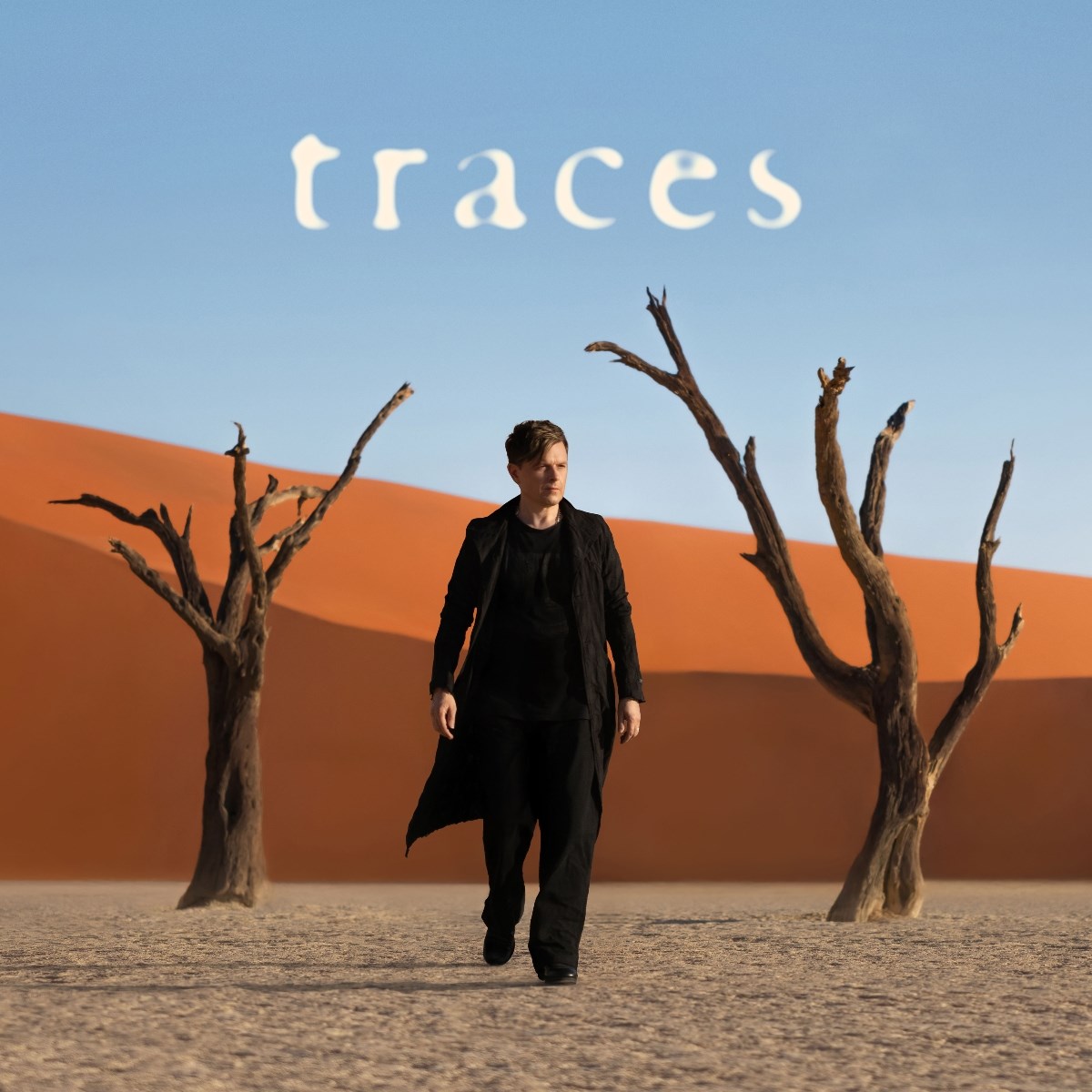 Afbeelding van Michael Patrick Kelly - Traces