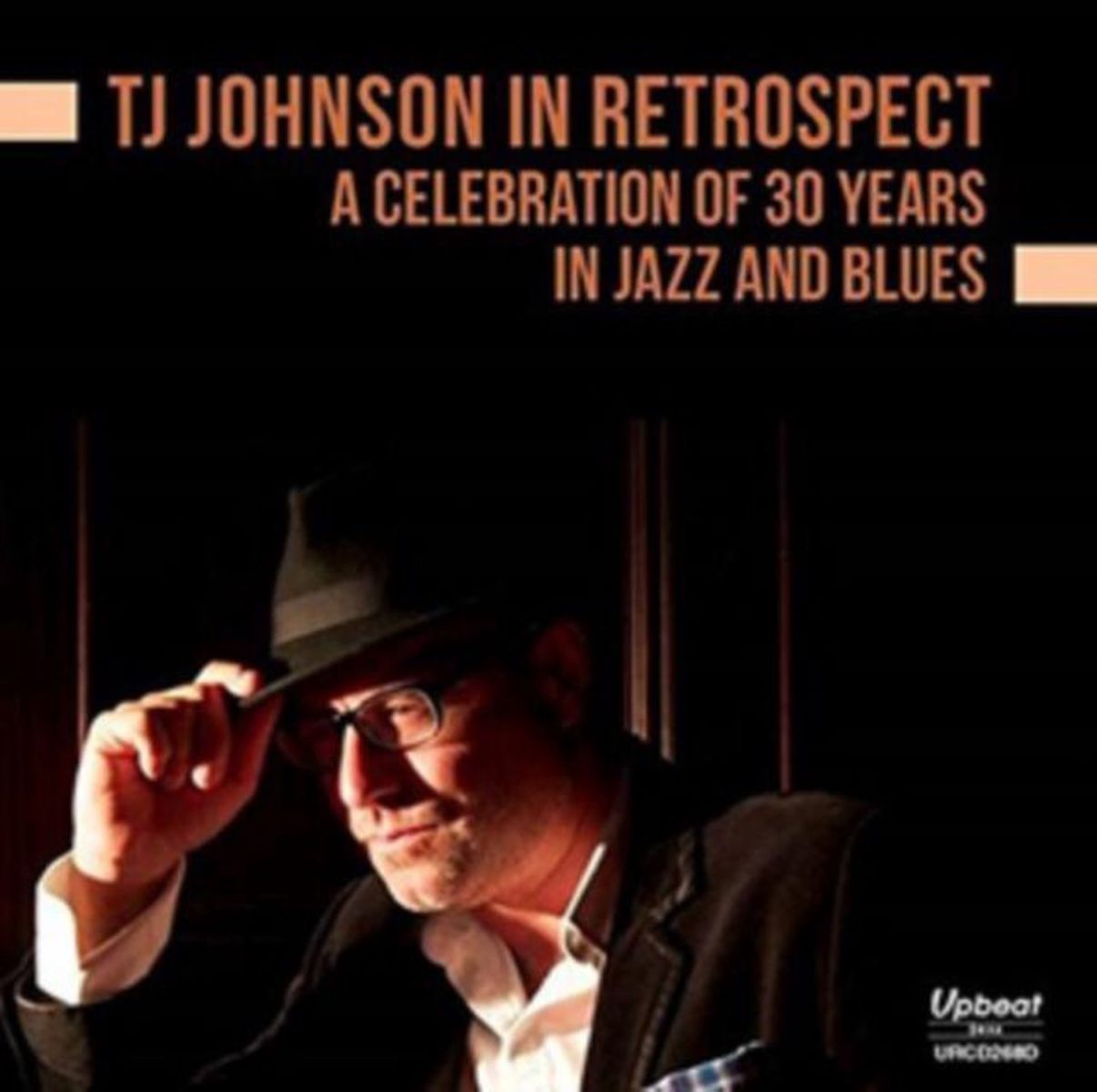Afbeelding van T.J. Johnson - In Retrospect - A Celebration of 30 Years In Jazz And Blues