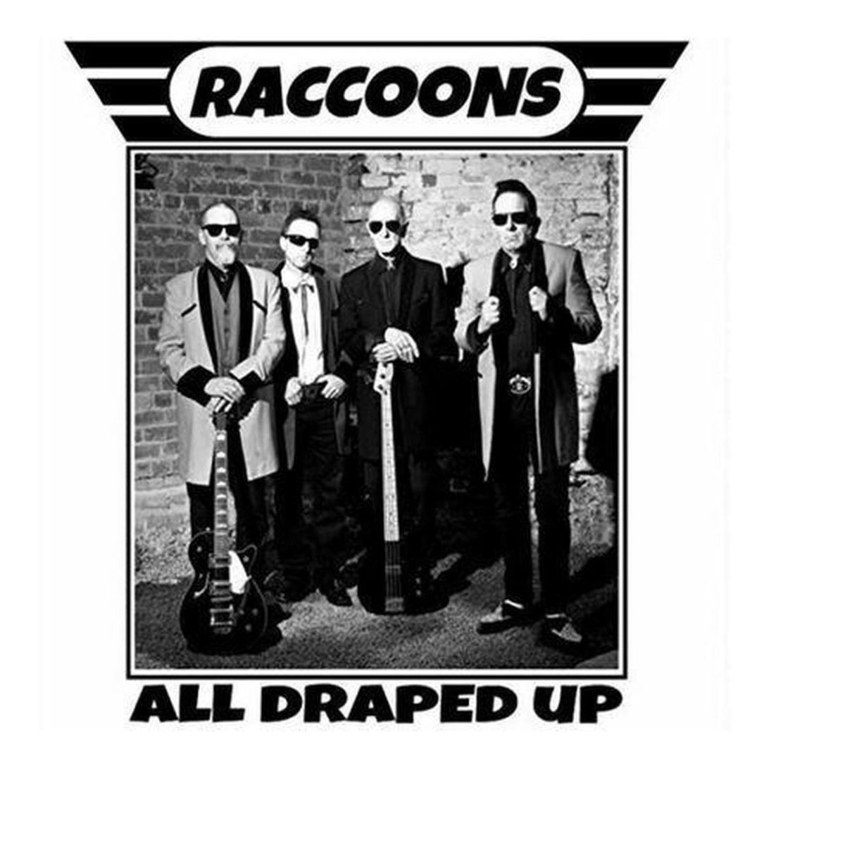 Afbeelding van Raccoons - All Draped Up