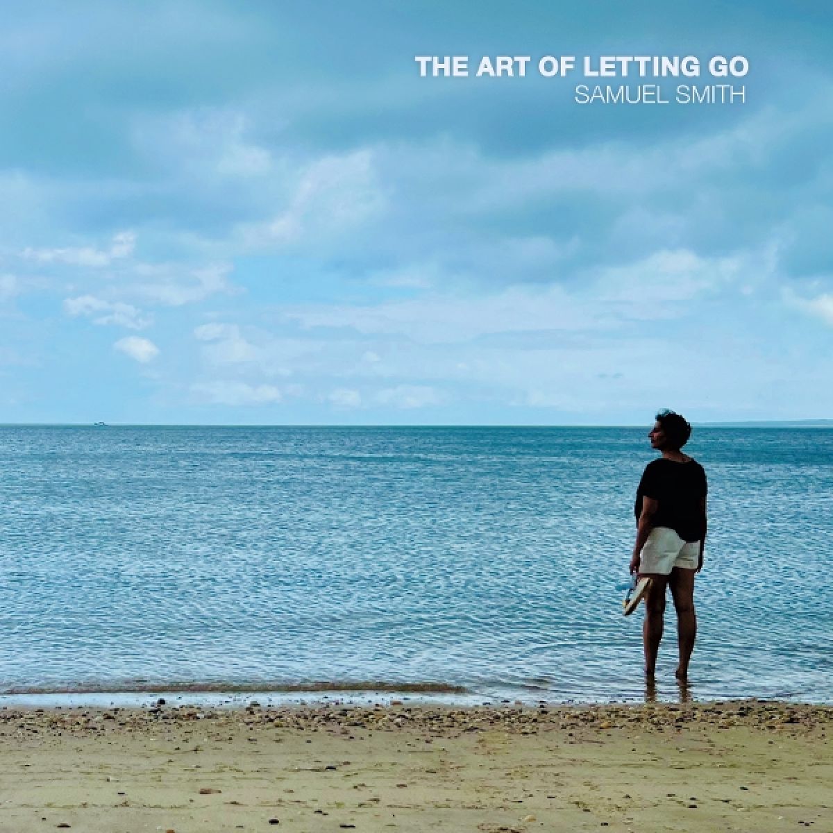 Afbeelding van Samuel Smith - The Art Of Letting Go