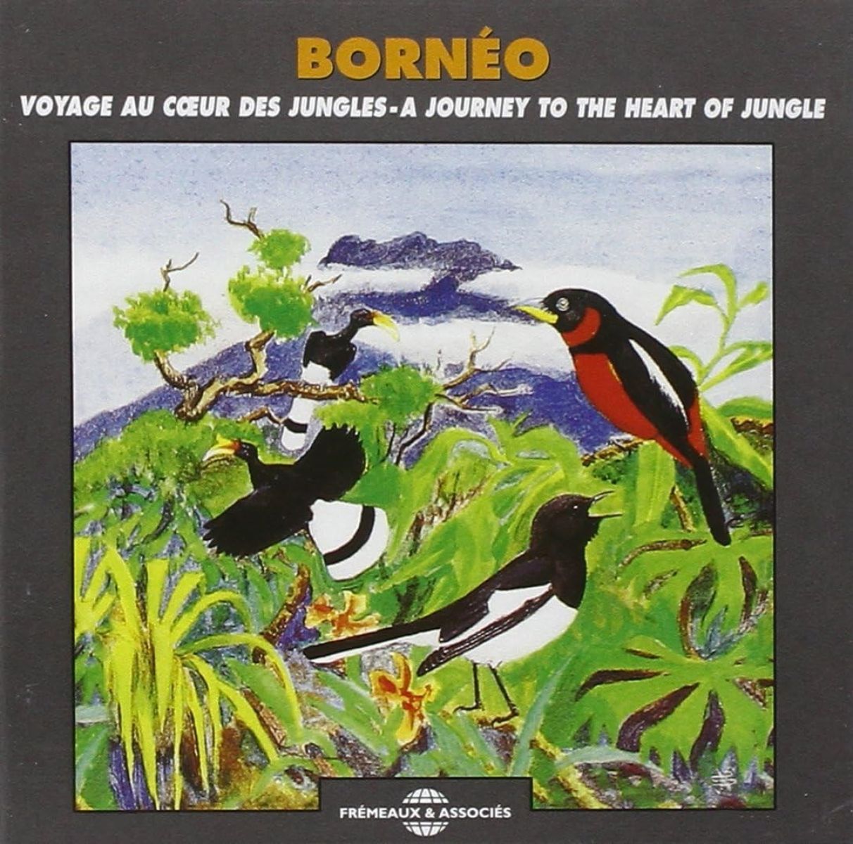 Afbeelding van Sound Effects - Borneo: A Journey To The Heart Of Jungle