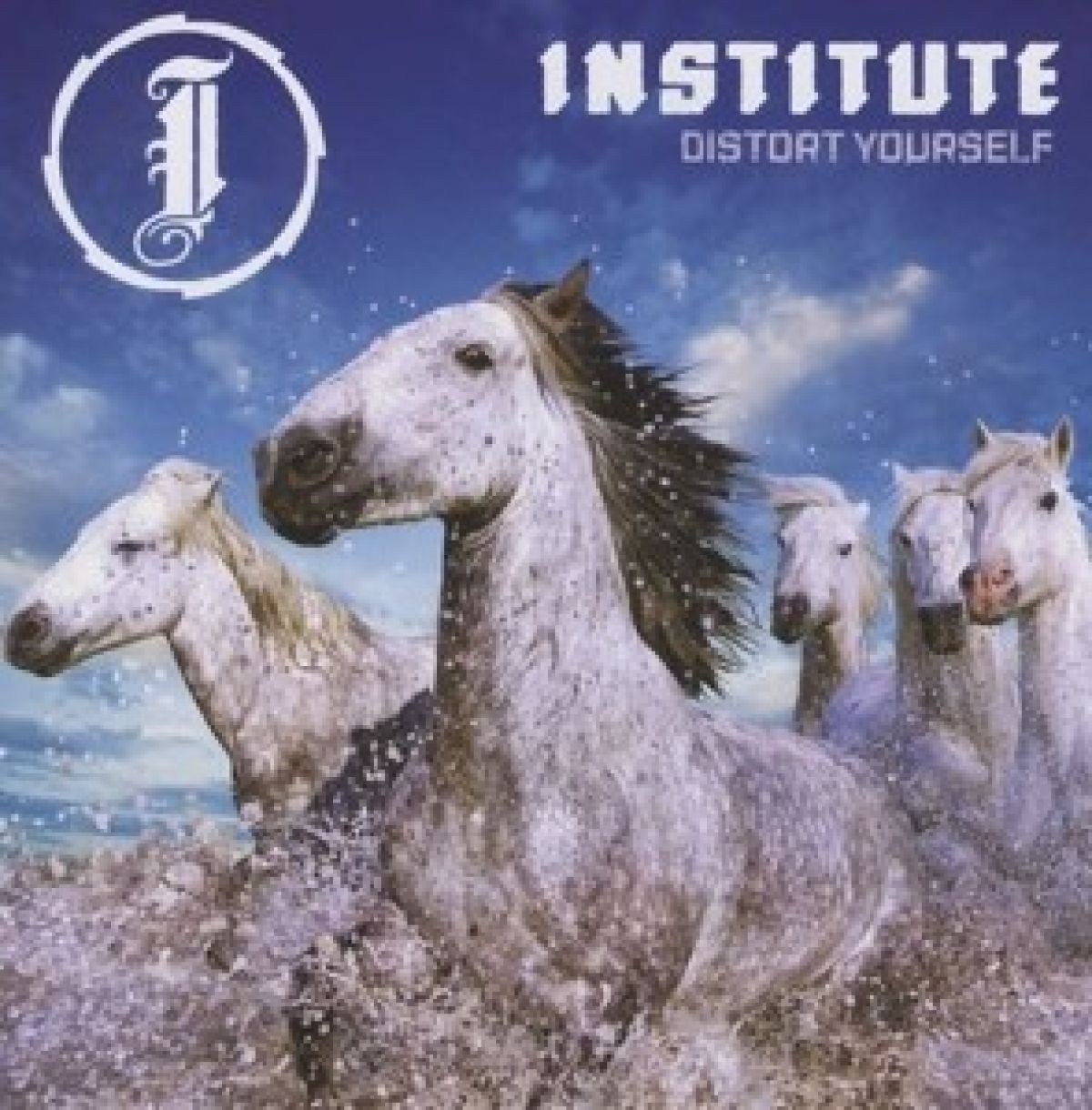 Afbeelding van Institute - Distort Yourself