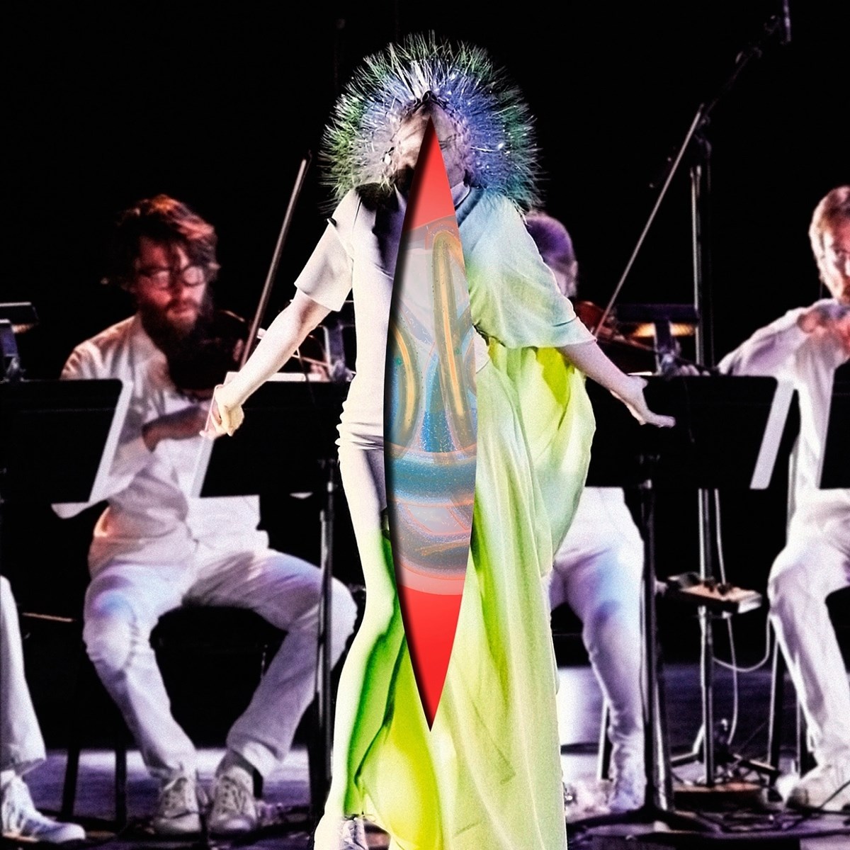 Afbeelding van Björk - Vulnicura Strings