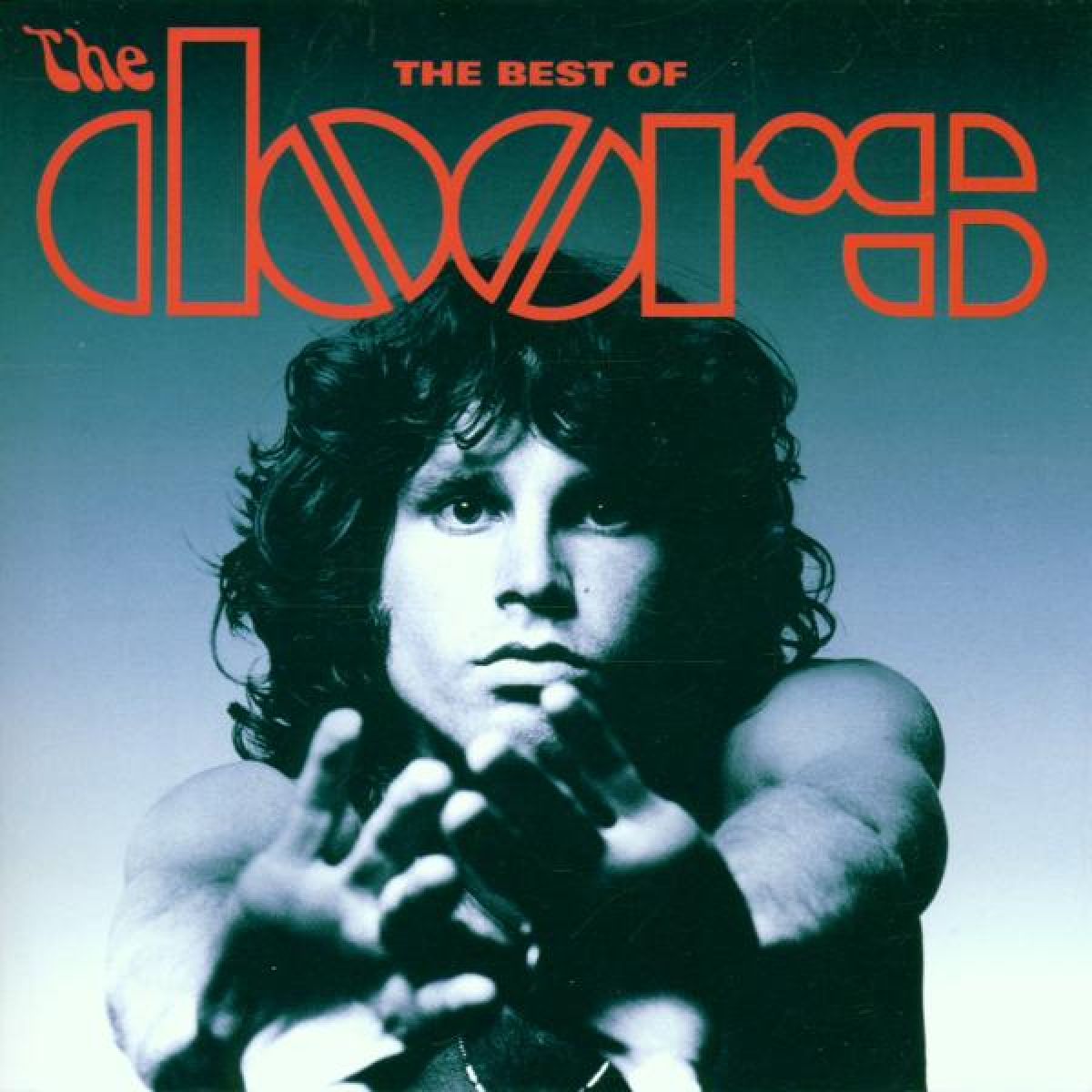 Afbeelding van The Doors - The Best Of The Doors