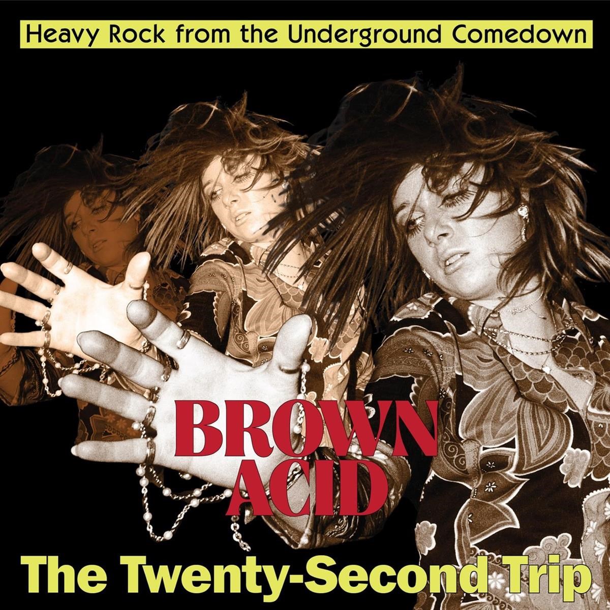 Afbeelding van Various Artists - Brown Acid: The Twenty-Second Trip