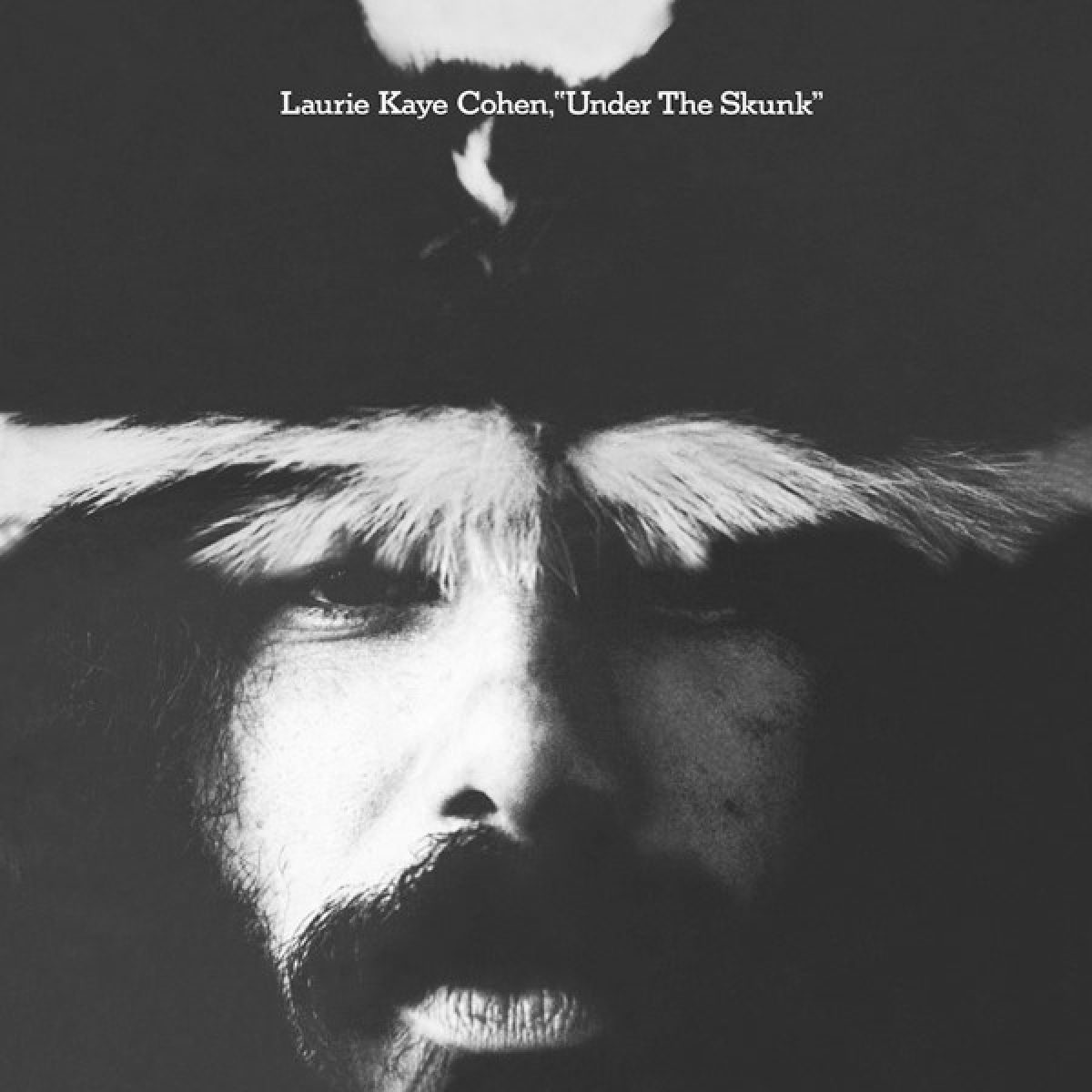 Afbeelding van Laurie Kaye Cohen - Under The Skunk