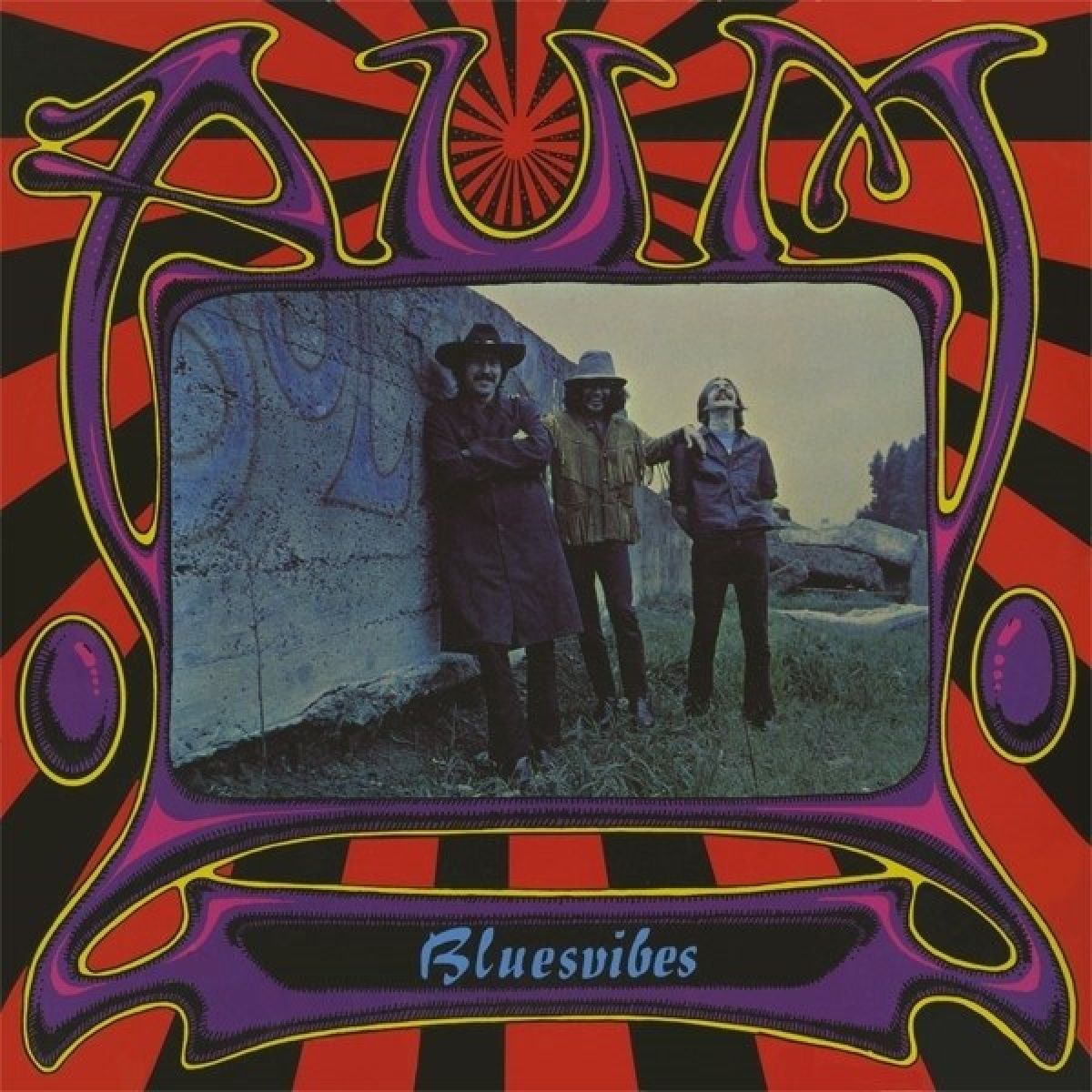 Afbeelding van Aum - Bluesvibes