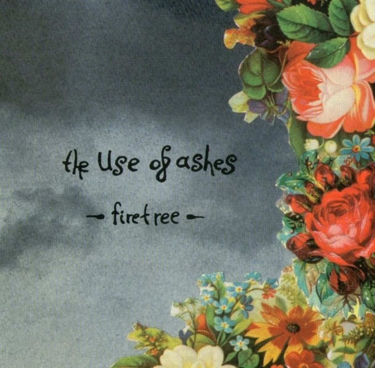 Afbeelding van Use Of Ashes - Firetree