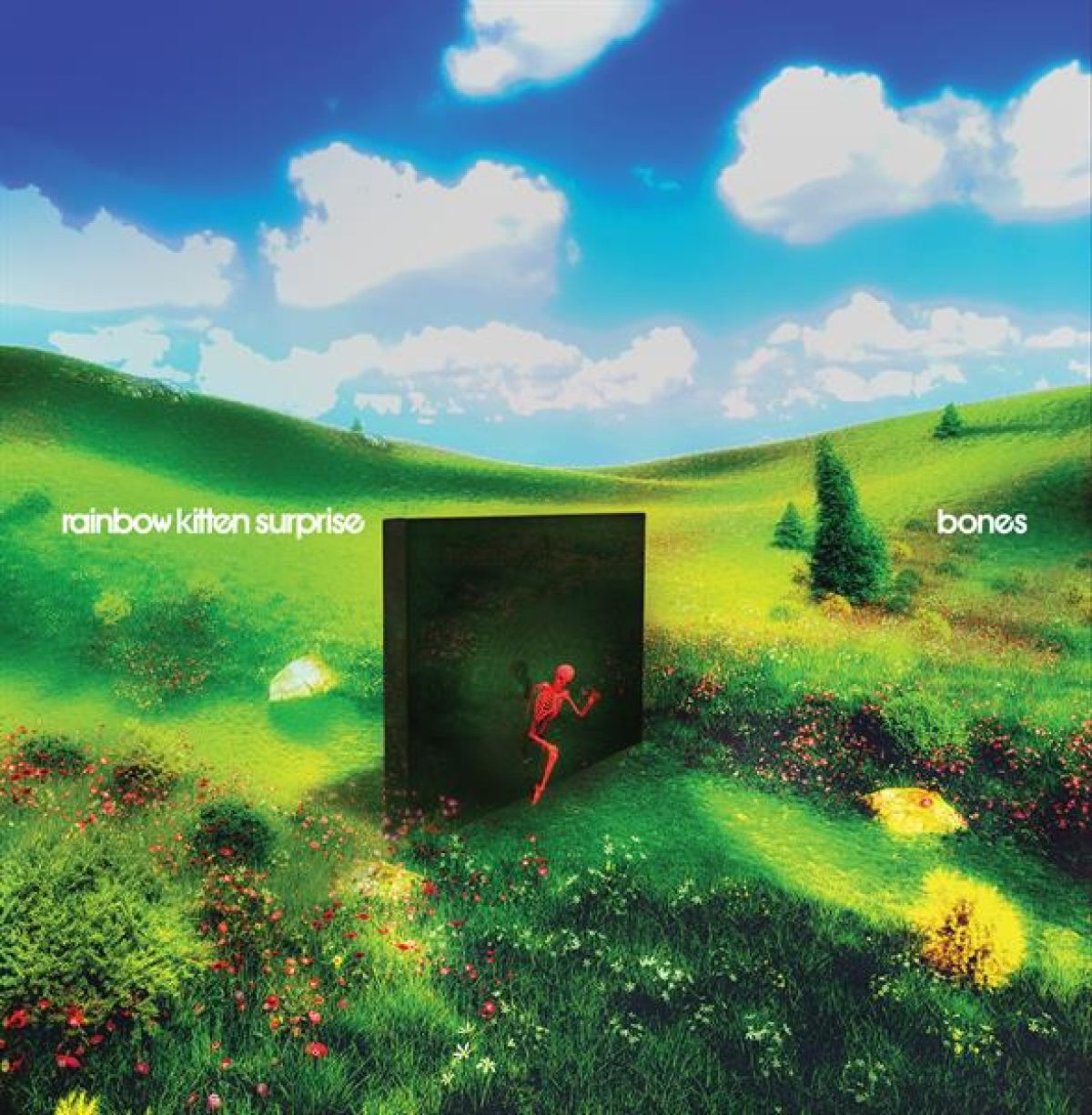 Afbeelding van Rainbow Kitten Surprise - Bones