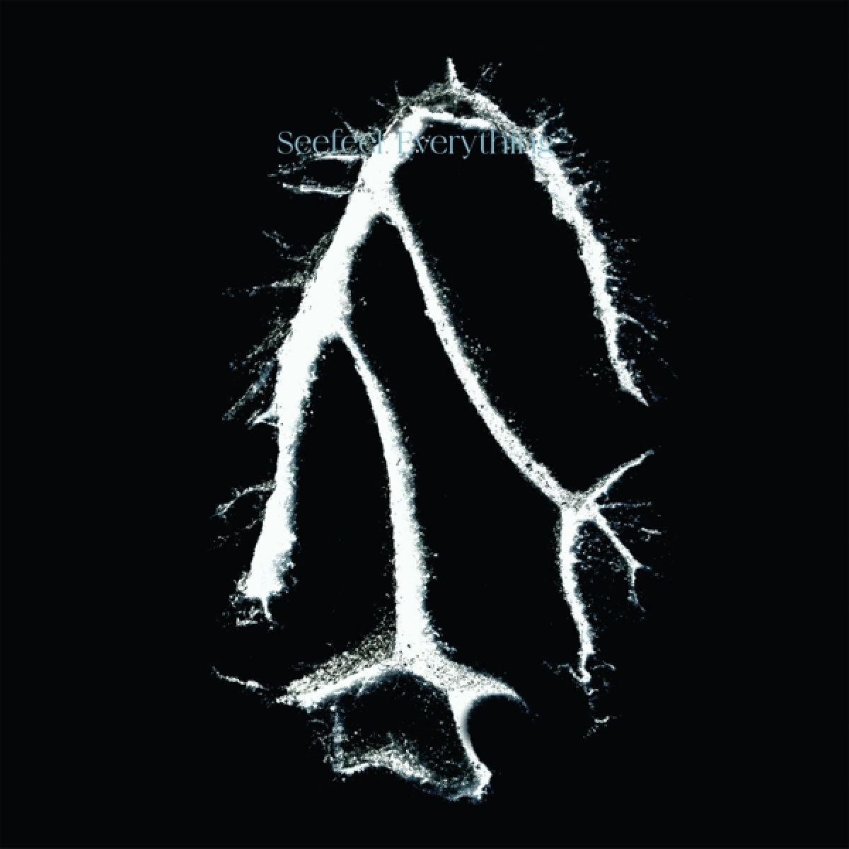 Afbeelding van Seefeel - Everything Squared
