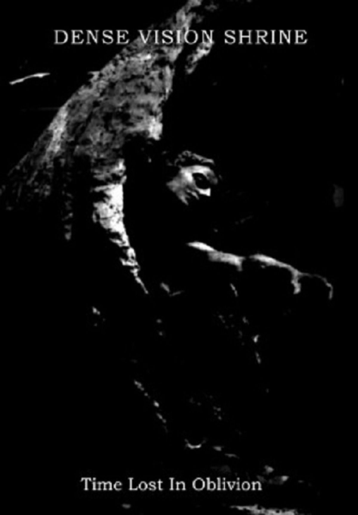 Afbeelding van Dense Vision Shrine - Time Lost In Oblivion