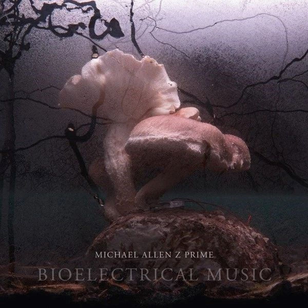 Afbeelding van Michael Allen Z Prime - Bioelectrical Music