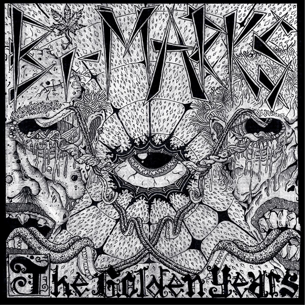 Afbeelding van Bi Marks - The Golden Years