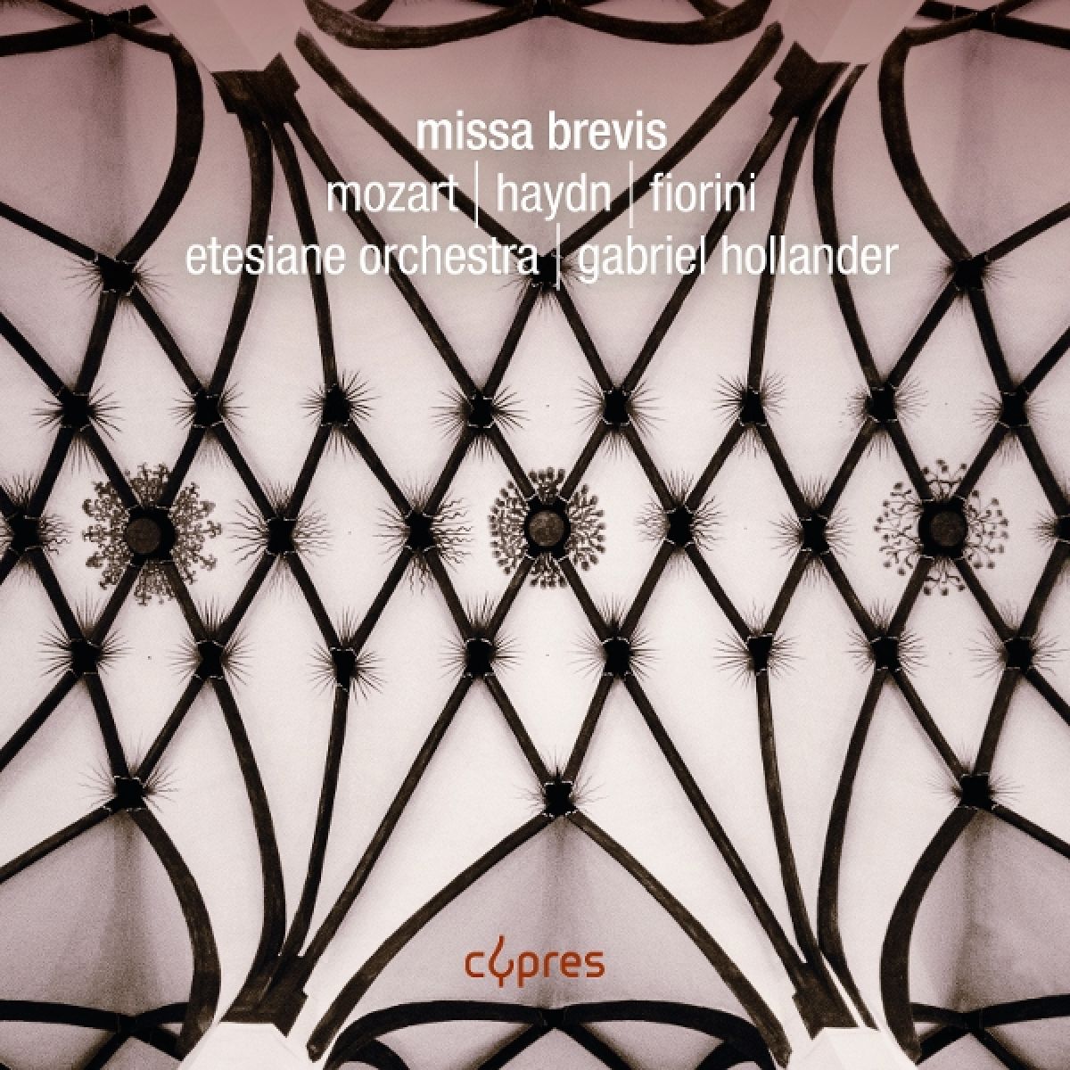 Afbeelding van Etesiane Orchestra, Gabriel Hollander - Missa Brevis: Mozart, Haydn & Fiorini