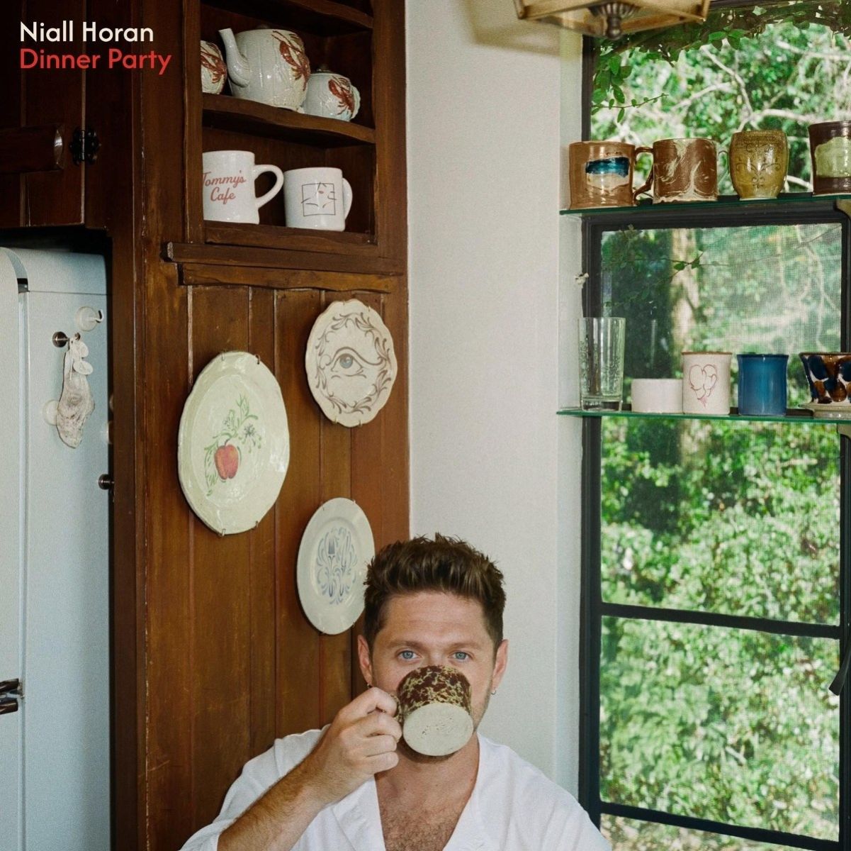 Afbeelding van Niall Horan - Dinner Party