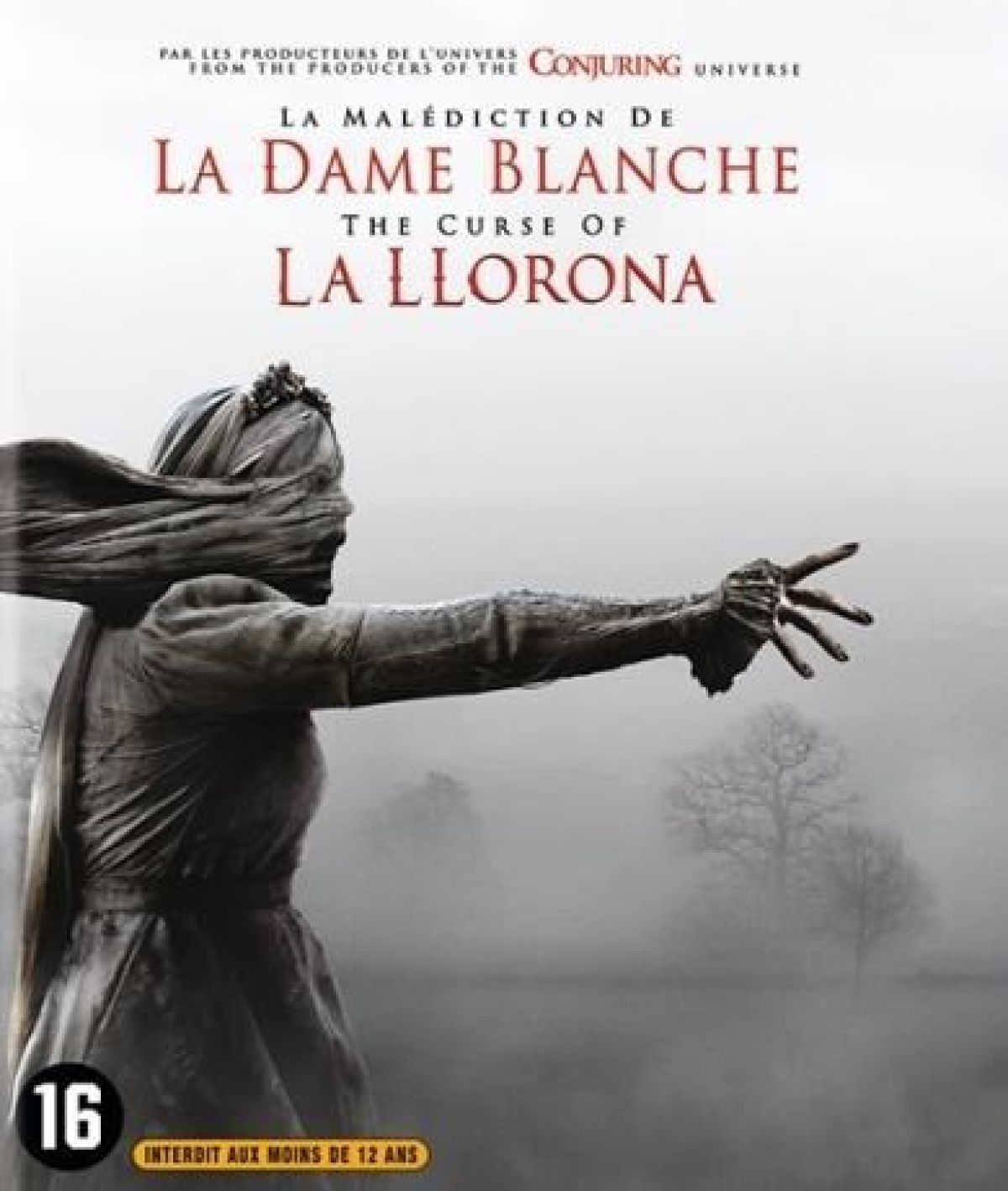 Afbeelding van The Curse Of La Llorona