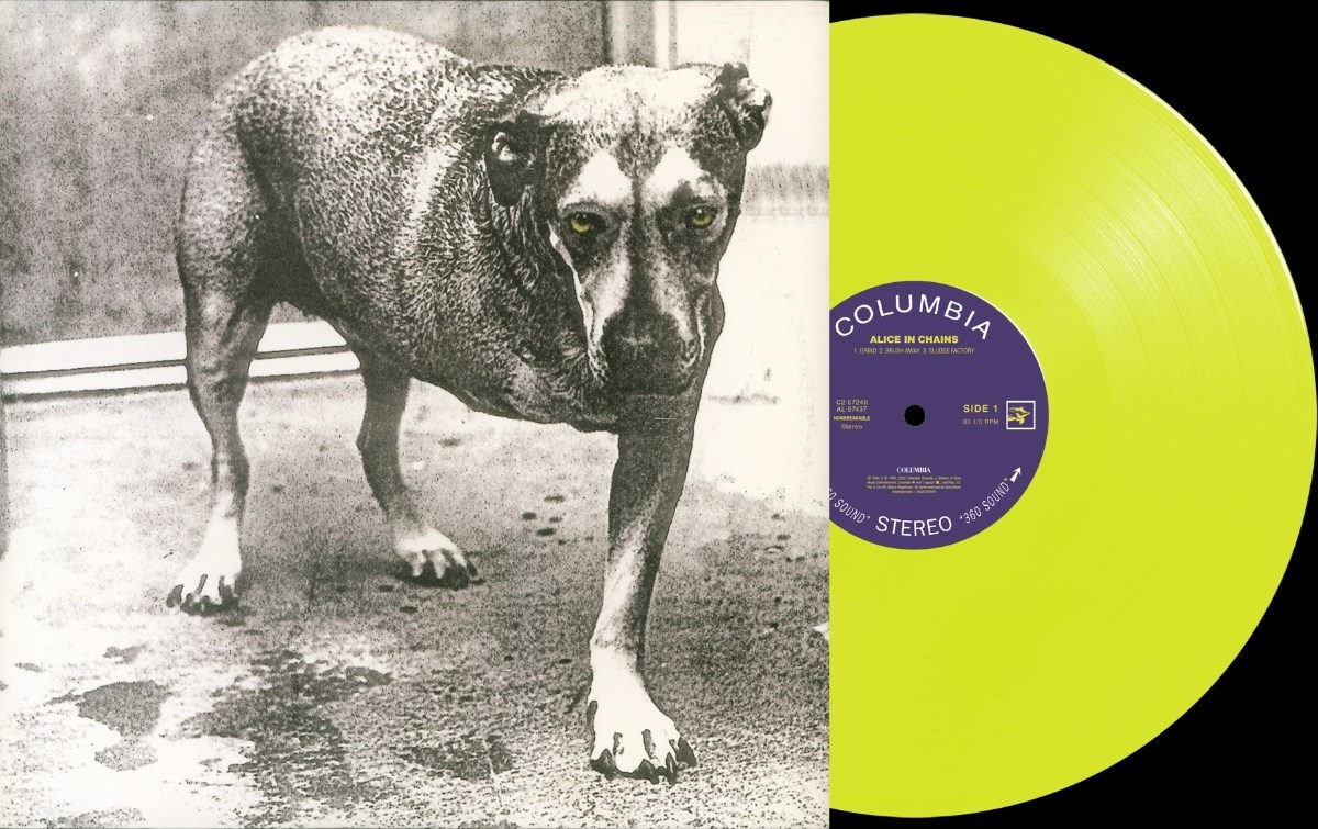Afbeelding van Alice In Chains - Alice In Chains