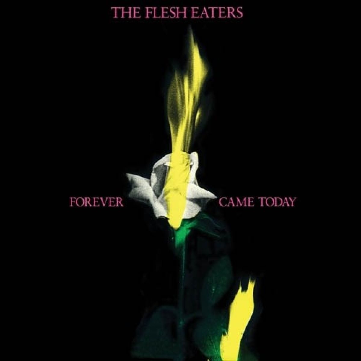 Afbeelding van The Flesh Eaters - Forever Came Today
