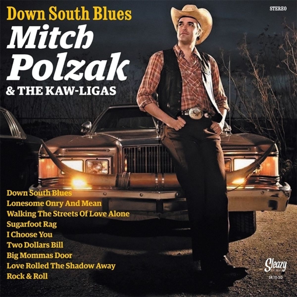Mitch Polzak & The Kaw-Ligas - Down South Blues